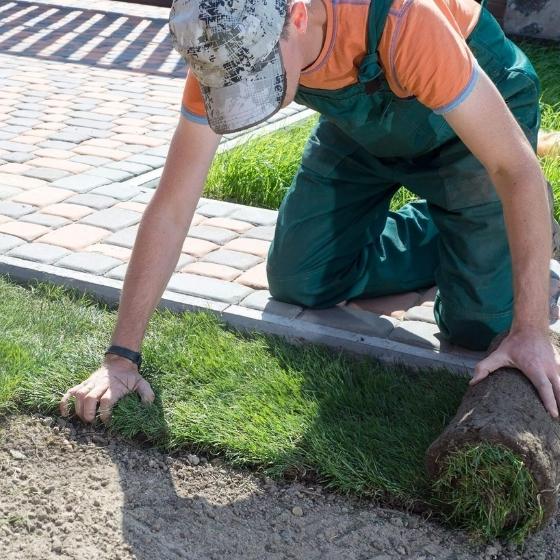 Water drainage solutions SA TX