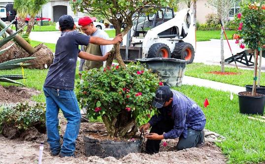 landscaping contractors in San Antonio, TX