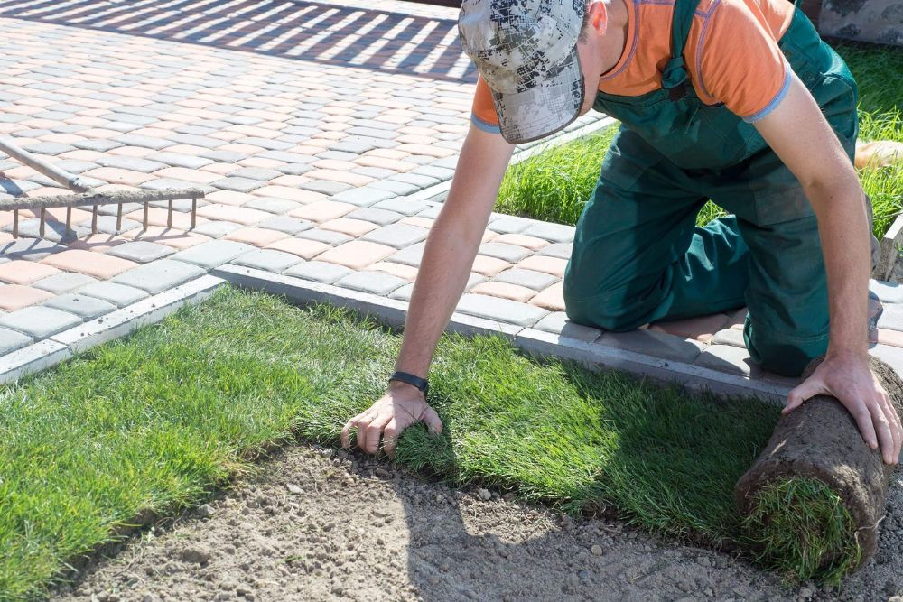 Let Us Handle Your Grass Sod Installation